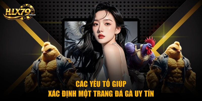 Các yếu tố giúp xác định một trang đá gà uy tín Các yếu tố giúp xác định một trang đá gà uy tín