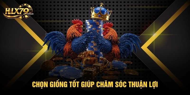 Chọn giống tốt giúp chăm sóc thuận lợi Chọn giống tốt giúp chăm sóc thuận lợi