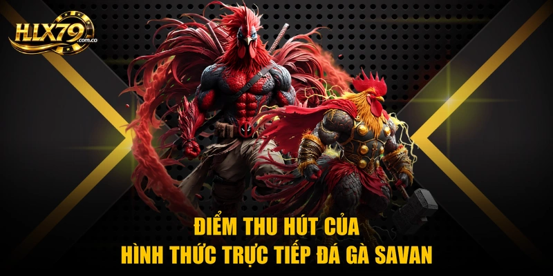 Điểm thu hút của hình thức trực tiếp đá gà Savan Điểm thu hút của hình thức trực tiếp đá gà Savan