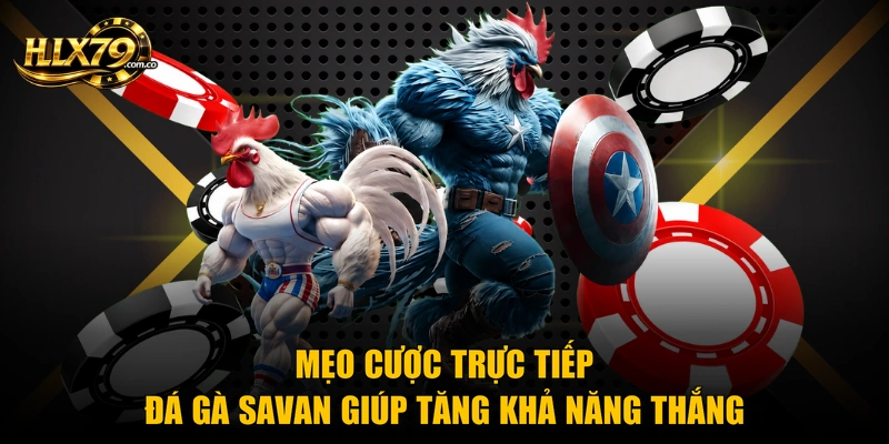 Mẹo cược trực tiếp đá gà Savan giúp tăng khả năng thắng Mẹo cược trực tiếp đá gà Savan giúp tăng khả năng thắng