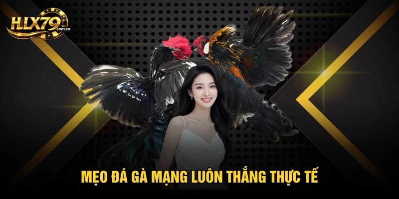 Mẹo đá gà mạng luôn thắng thực tế