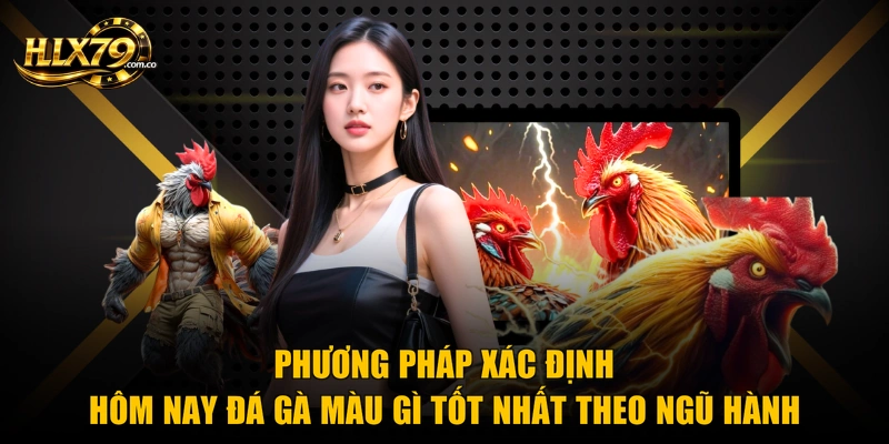 Phương pháp xác định hôm nay đá gà màu gì tốt nhất theo ngũ hành Phương pháp xác định hôm nay đá gà màu gì tốt nhất theo ngũ hành
