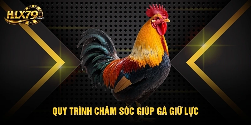 Quy trình chăm sóc giúp gà giữ lực Quy trình chăm sóc giúp gà giữ lực